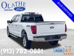 2024 F-150 Thumbnail 4