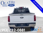 2024 F-150 Thumbnail 5