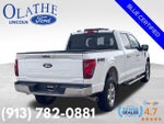 2024 F-150 Thumbnail 6