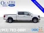 2024 F-150 Thumbnail 7