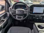 2024 F-150 Thumbnail 12