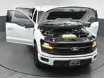 2024 F-150 Thumbnail 54
