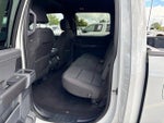 2024 F-150 Thumbnail 20