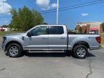 2024 F-150 Thumbnail 4