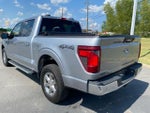 2024 F-150 Thumbnail 5