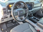 2025 F-150 Thumbnail 11
