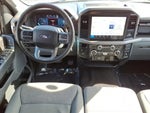 2025 F-150 Thumbnail 10