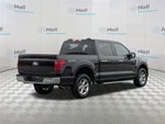 2025 F-150 Thumbnail 7