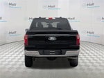 2025 F-150 Thumbnail 8