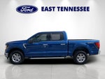 2025 F-150 Thumbnail 6