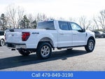 2025 F-150 Thumbnail 6