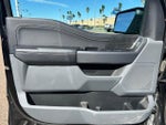 2025 F-150 Thumbnail 11