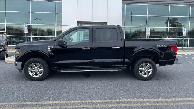 Preowned 2025 Ford F-150 XLT for Sale