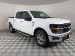 2025 F-150 Thumbnail 1