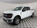 2025 F-150 Thumbnail 3