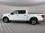2025 F-150 Thumbnail 4