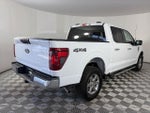 2025 F-150 Thumbnail 7