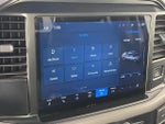 2025 F-150 Thumbnail 19