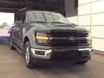 2025 F-150 Thumbnail 4