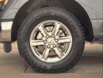 2025 F-150 Thumbnail 8