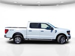 2025 F-150 Thumbnail 6