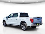 2025 F-150 Thumbnail 9