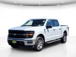 2025 F-150 Thumbnail 11