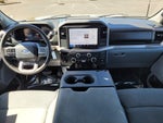 2025 F-150 Thumbnail 17