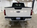 2025 F-150 Thumbnail 6