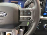 2025 F-150 Thumbnail 13