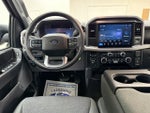 2025 F-150 Thumbnail 19