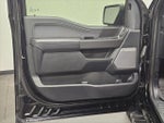 2024 F-150 Thumbnail 19