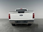 2024 F-150 Thumbnail 5