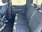 2024 F-150 Thumbnail 12