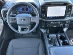 2024 F-150 Thumbnail 13