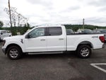 2024 F-150 Thumbnail 2