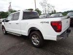 2024 F-150 Thumbnail 4
