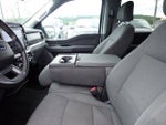 2024 F-150 Thumbnail 19