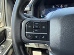 2024 F-150 Thumbnail 18