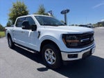 2024 F-150 Thumbnail 2