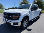 2024 F-150 Thumbnail 4