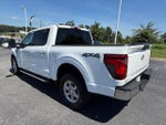 2024 F-150 Thumbnail 5