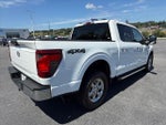 2024 F-150 Thumbnail 7