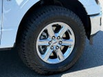 2024 F-150 Thumbnail 9