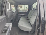 2024 F-150 Thumbnail 10