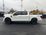 2024 F-150 Thumbnail 8