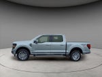 2024 F-150 Thumbnail 2