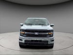 2024 F-150 Thumbnail 11