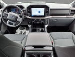 2024 F-150 Thumbnail 12