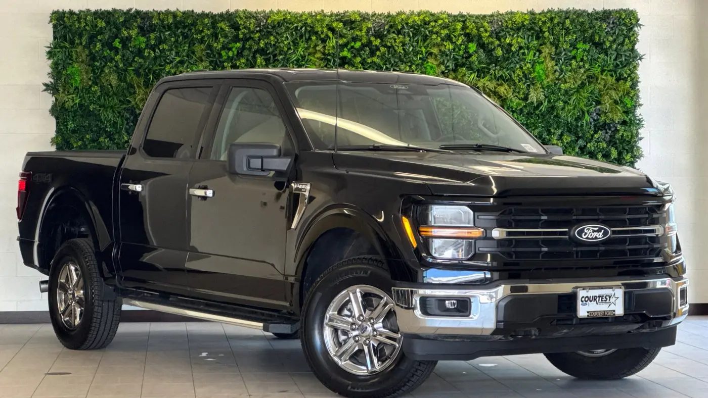 Preowned 2025 Ford F-150 XLT for Sale